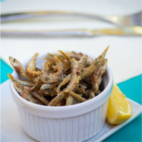 Le restaurant - Isabella - Montpellier - Restaurant Montpellier Centre