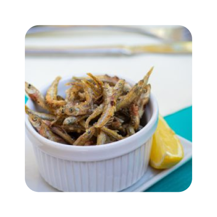 Isabella - Restaurant Montpellier - restaurant MONTPELLIER